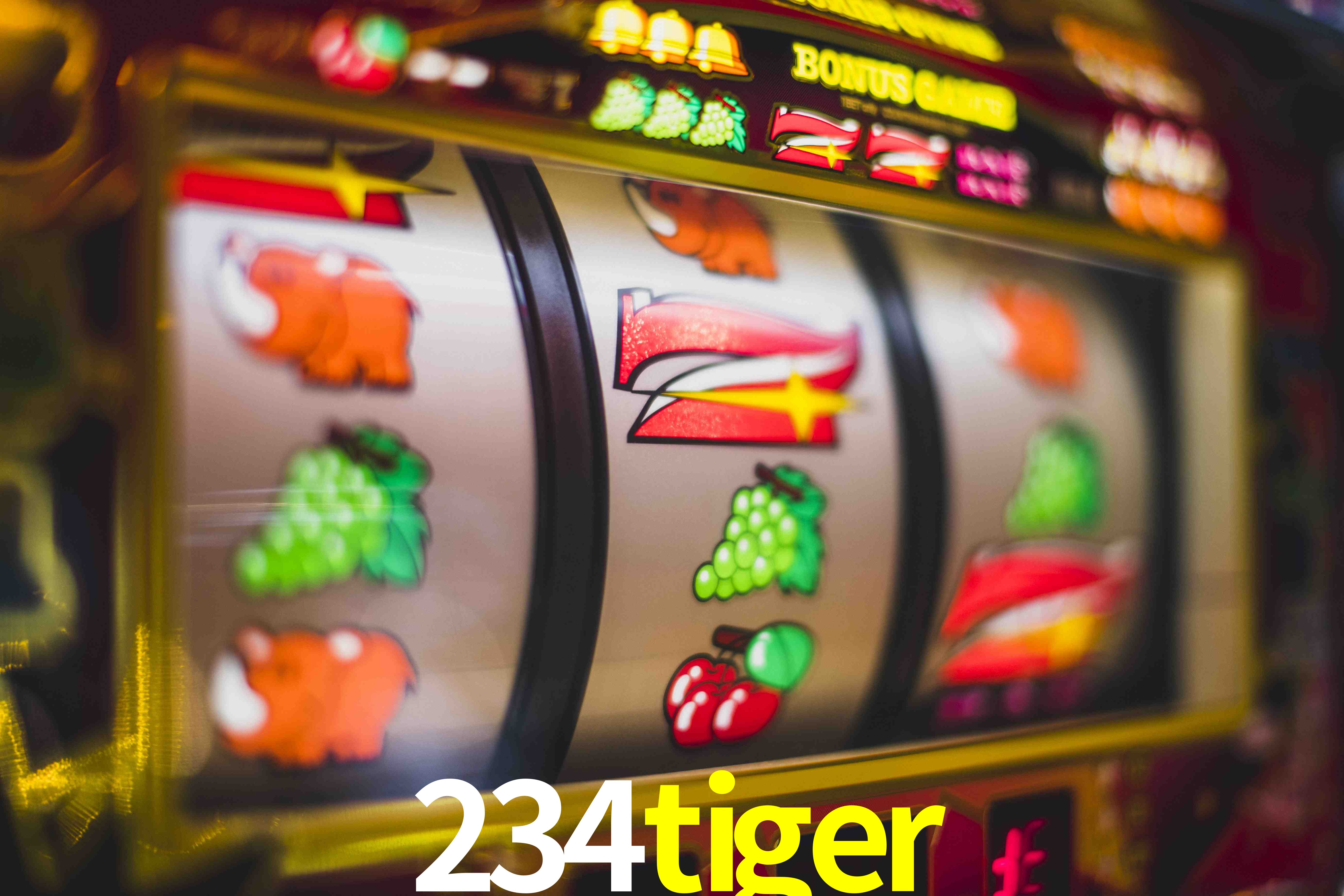 Secure Login 234tiger